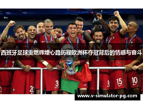 西班牙足球重燃辉煌心路历程欧洲杯夺冠背后的情感与奋斗